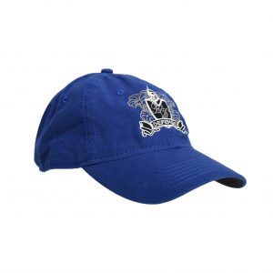 HD Defense Cap (Blue)